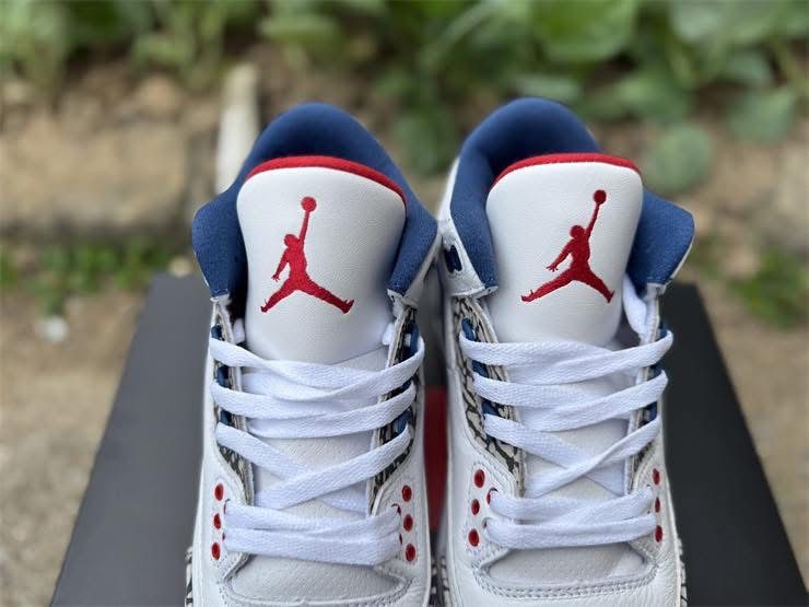 Air Jordan Retro 3 OG True Blue