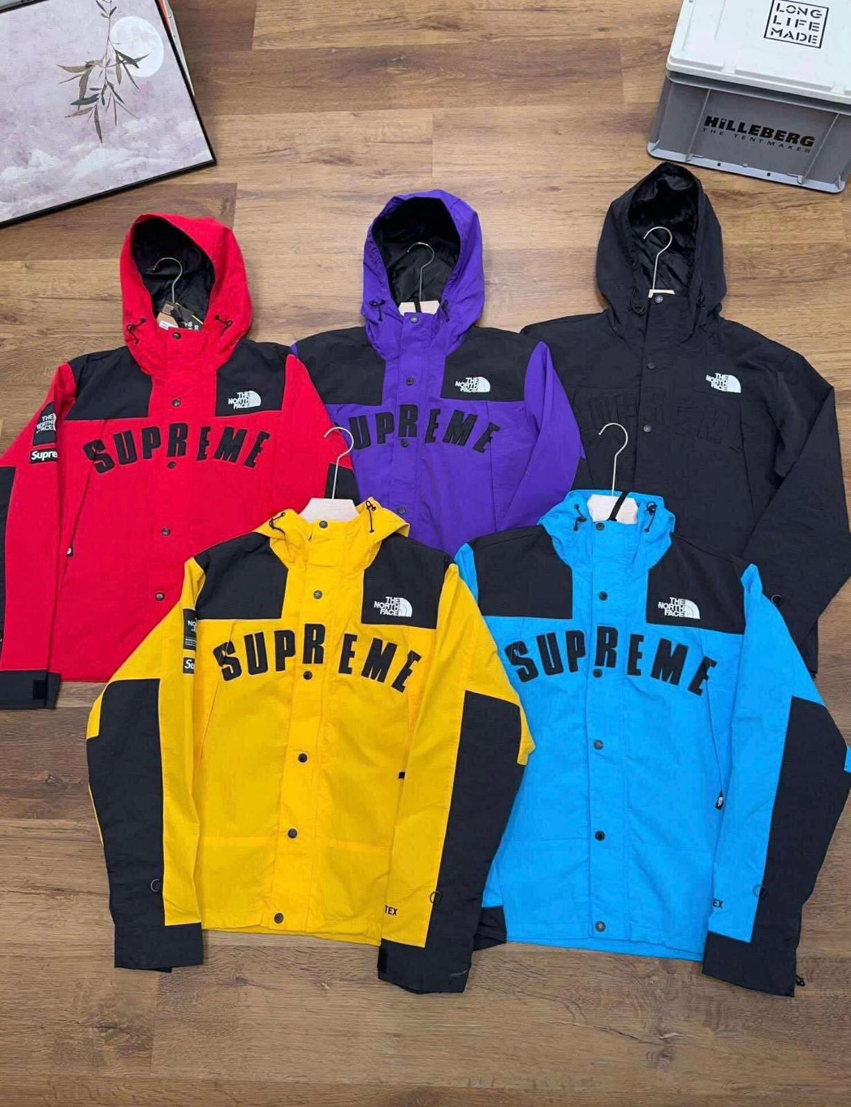 Supreme x The North Face Arc Logo Mountain Parka made with GORE-TEX material