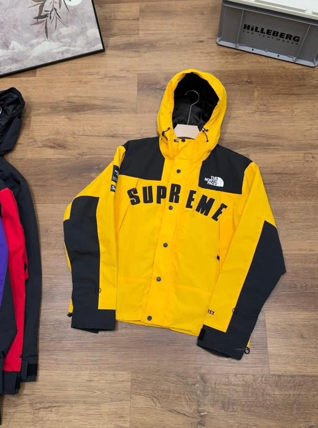 Supreme x The North Face Arc Logo Mountain Parka made with GORE-TEX material