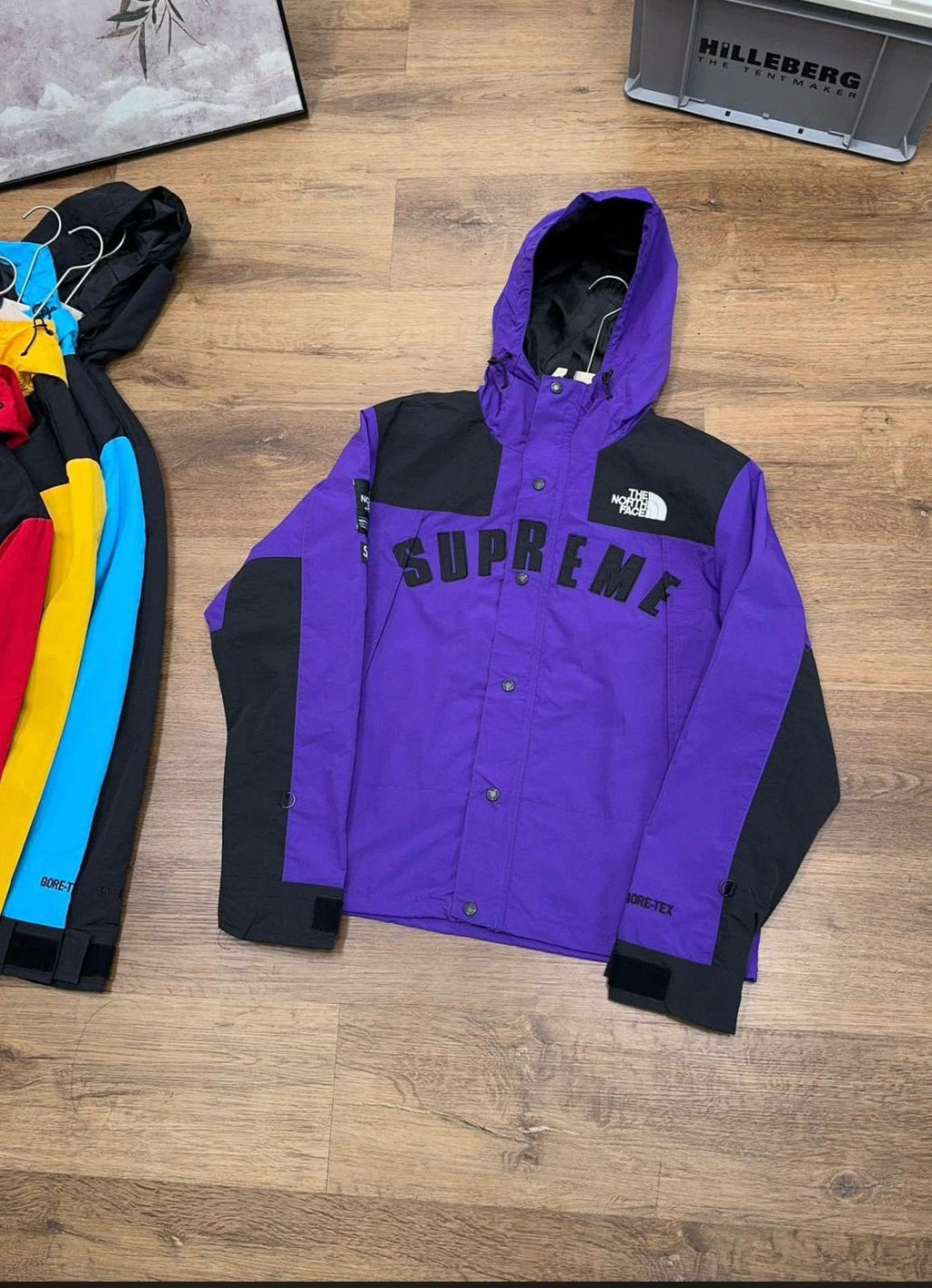 Supreme x The North Face Arc Logo Mountain Parka made with GORE-TEX material