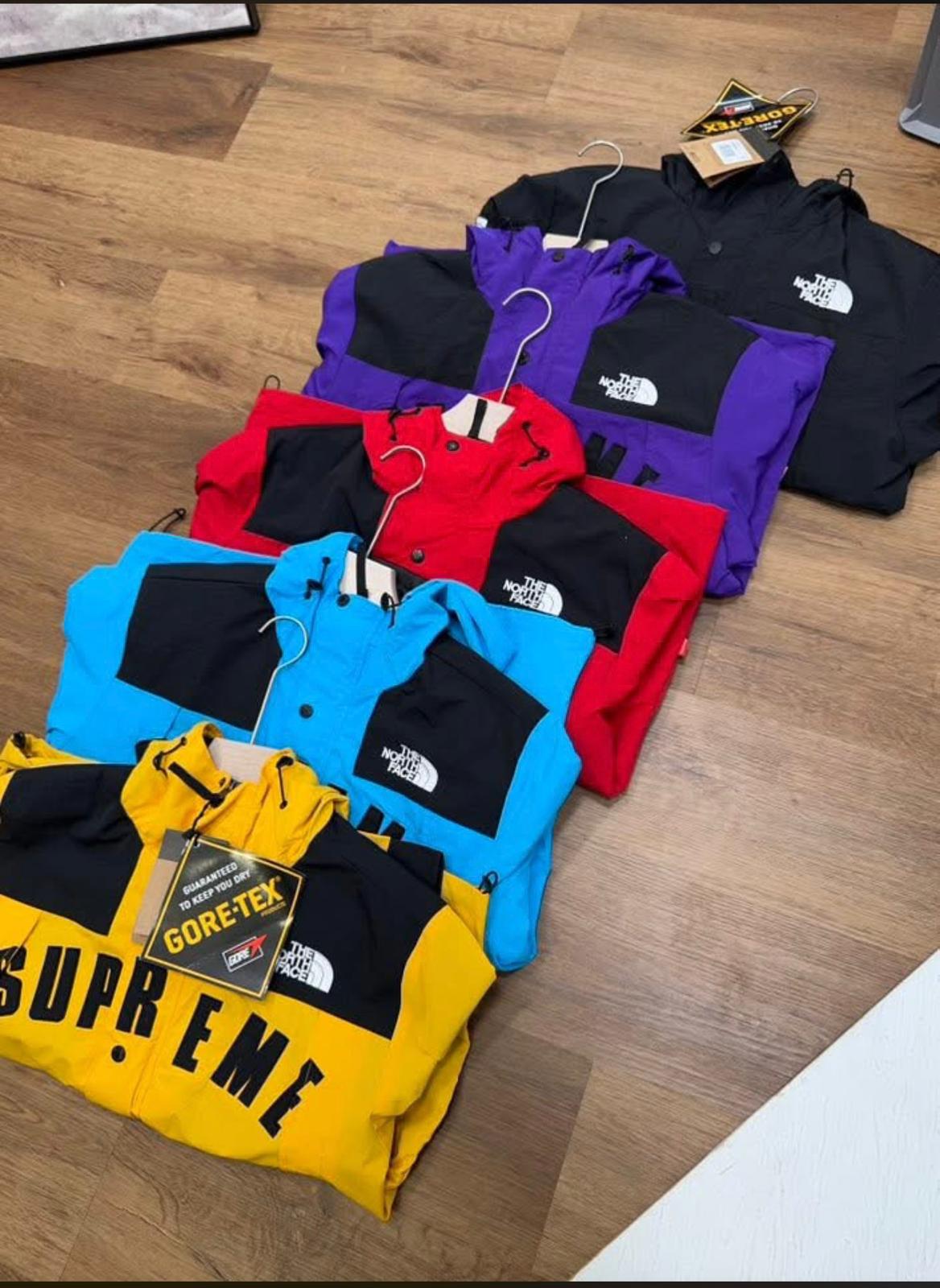 Supreme x The North Face Arc Logo Mountain Parka made with GORE-TEX material