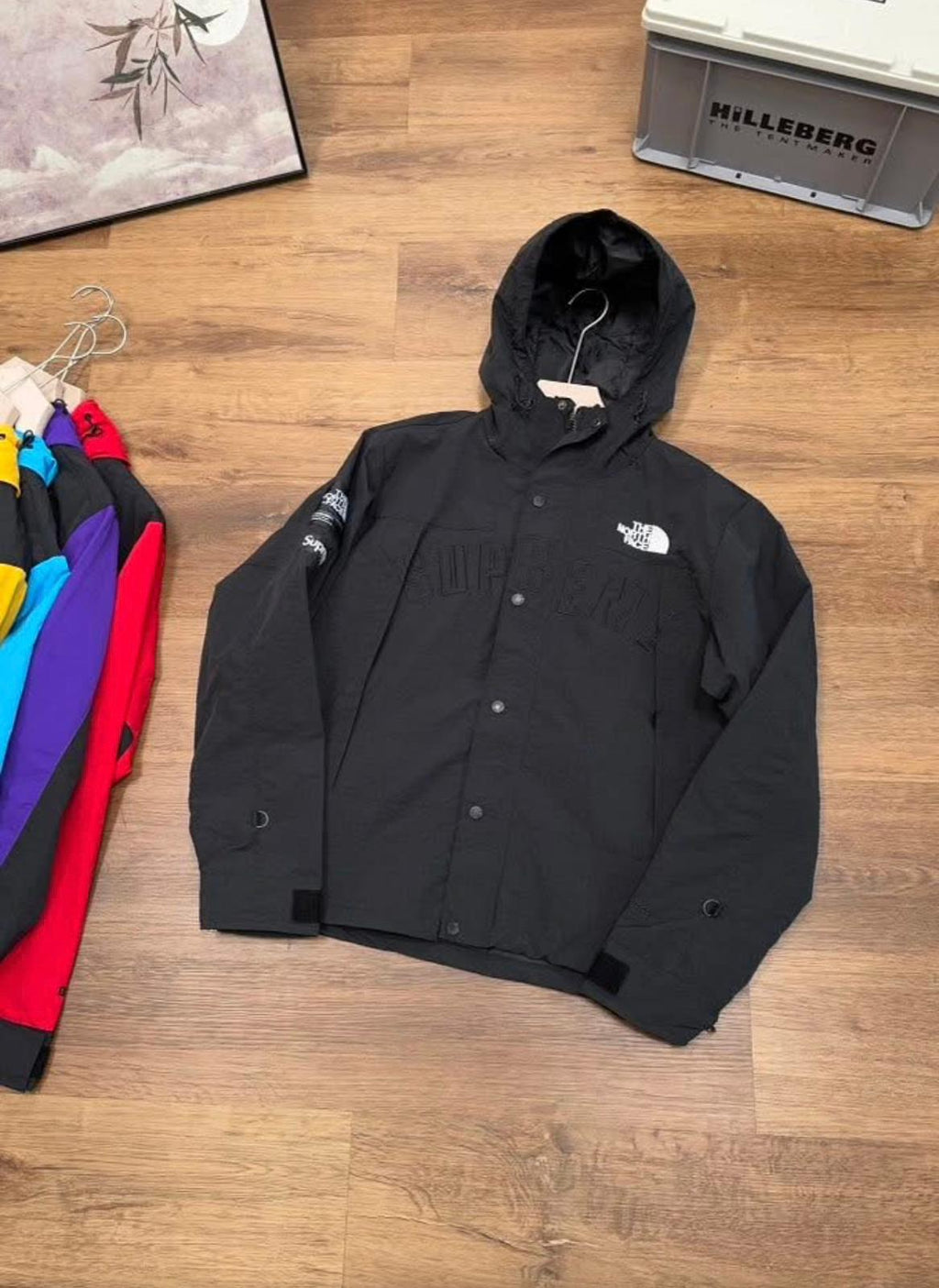 Supreme x The North Face Arc Logo Mountain Parka made with GORE-TEX material