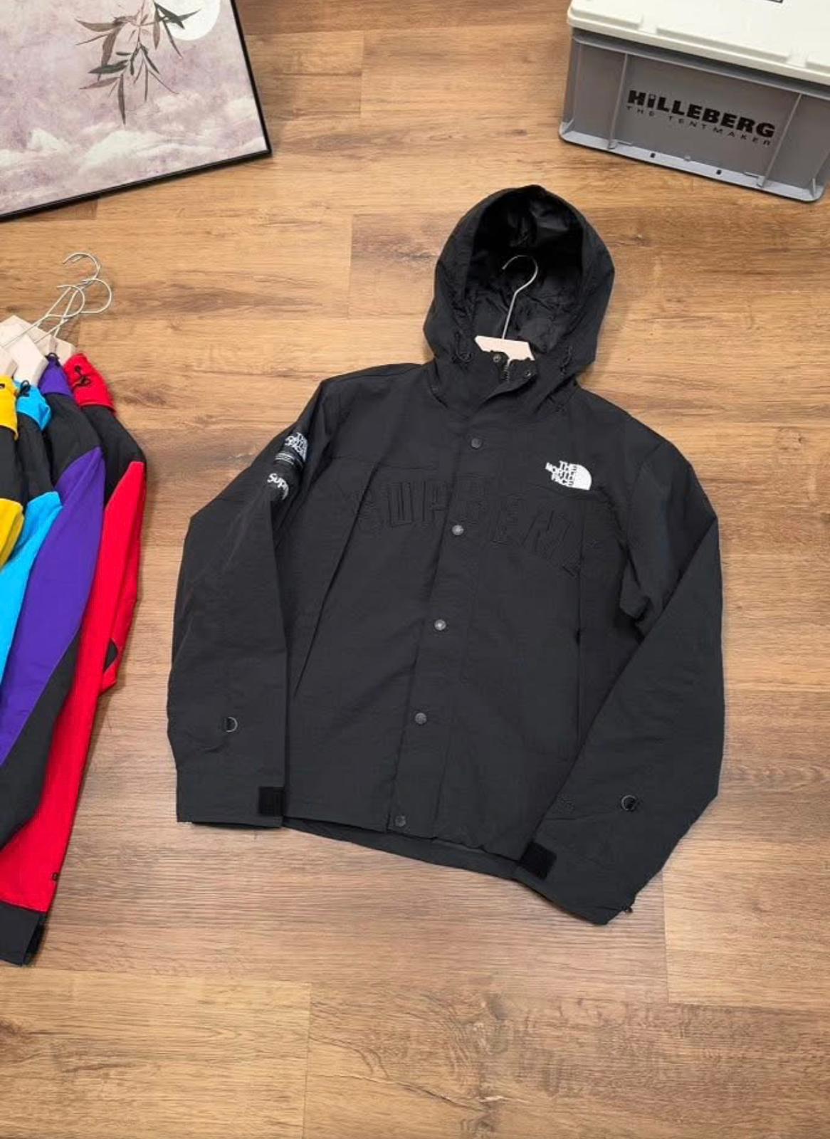 Supreme x The North Face Arc Logo Mountain Parka made with GORE-TEX material